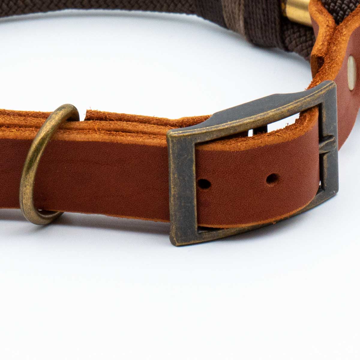 Adjustable collar narrow - Bear
