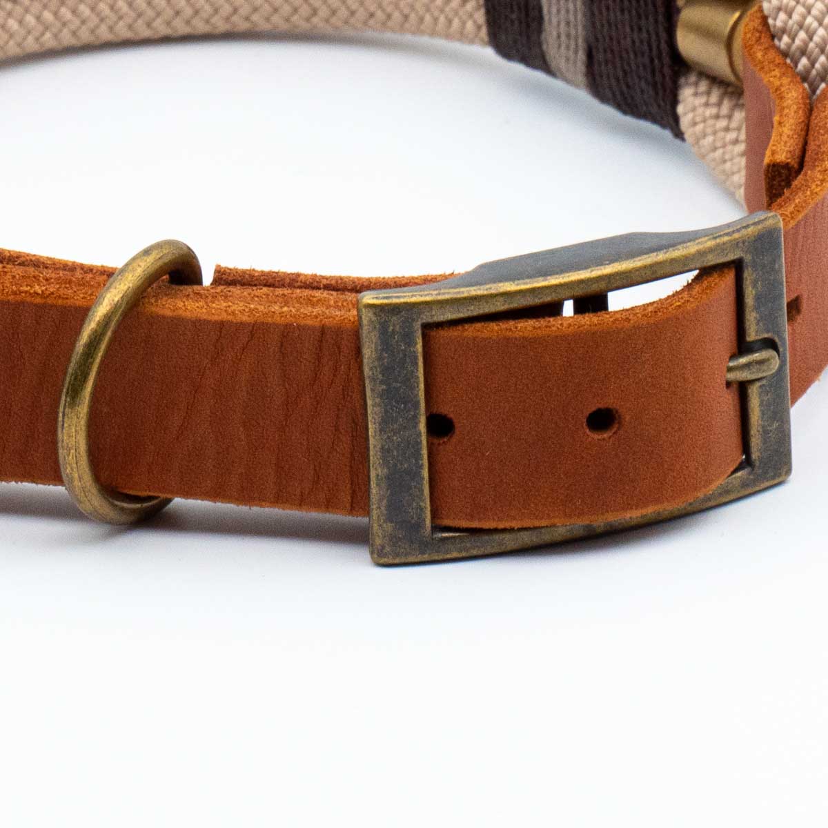 Adjustable collar narrow - Macchiato