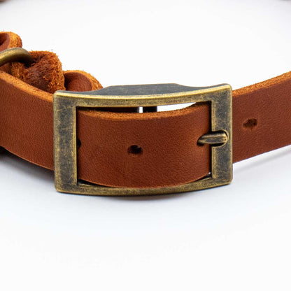 Leather collar - Macchiato